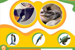Screenshot of Animal Genius