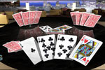 Screenshot of Bicycle Skat