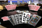 Screenshot of Bicycle Skat