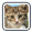 Petz Catz 2