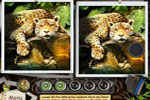 Screenshot of Eco Rescue - Project Rainforest