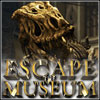 Escape the Museum