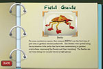 Screenshot of Garden Defense