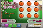 Screenshot of Hoyle Casino
