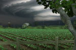 Screenshot of Nancy Drew: Trail of the Twister