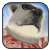 Polar Bowler