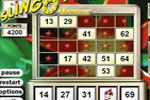 Screenshot of Slingo Deluxe