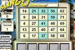 Screenshot of Slingo Deluxe