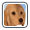 Wonder Pets! Save the Puppy