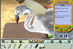 Screenshot of Zoo Vet